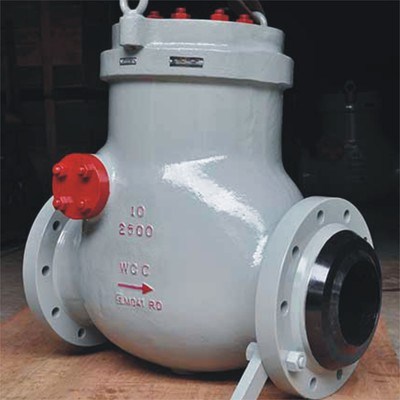 Pressure Seal Check Valve